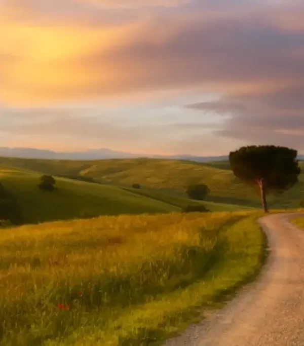 صورة 21693757a57267fbfd3b6e9de254afef1b4c9abc - المواكب الذهبية