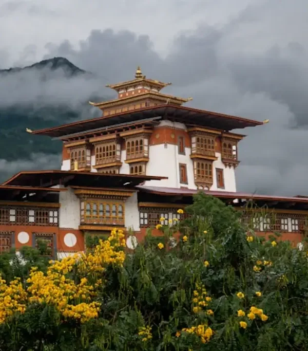 صورة 6dbc5cf39f1555ad12154135666aecebe6d11d49 - المواكب الذهبية