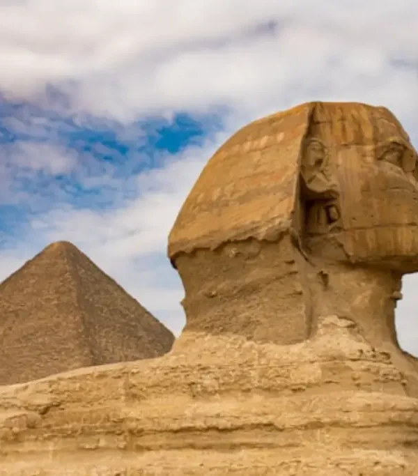 صورة a53643eebba3f2753a3a417f1f1a243f84095a12 - المواكب الذهبية