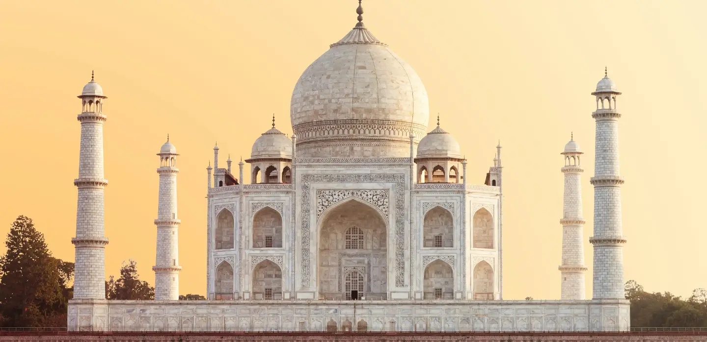 صورة Frame 1618874324 - المواكب الذهبية