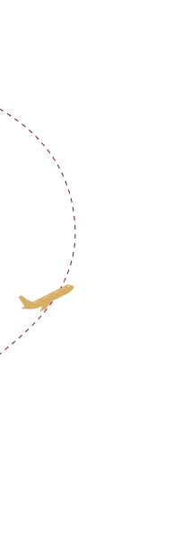 صورة Group 427318953 - المواكب الذهبية