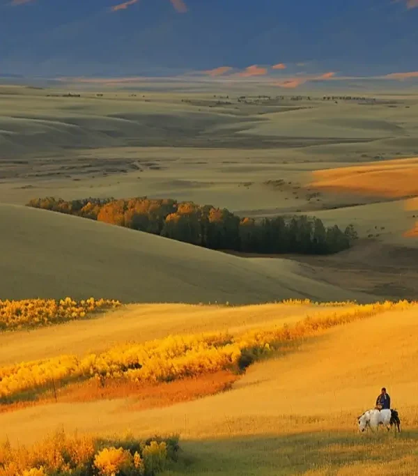 صورة b2af136a8923b098579fab8991333ad5cd1cf880 - المواكب الذهبية